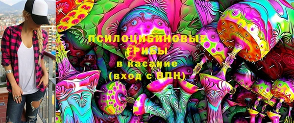 гидропоника Арсеньев