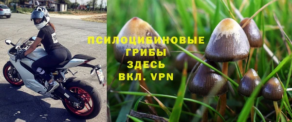 jwh Аркадак